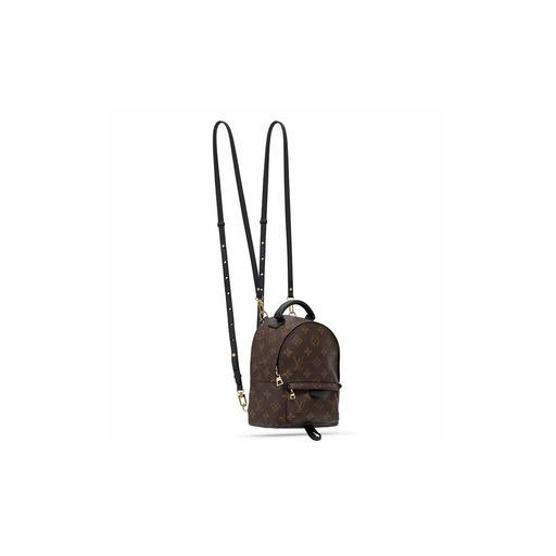 L O U I S V U I T T O N Bag-pack